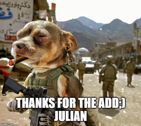 chihuahua military | THANKS FOR THE ADD;)
JULIAN | image tagged in chihuahua military | made w/ Imgflip meme maker
