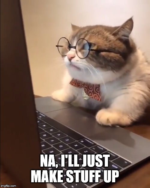 research cat | NA, I'LL JUST MAKE STUFF UP | image tagged in research cat | made w/ Imgflip meme maker