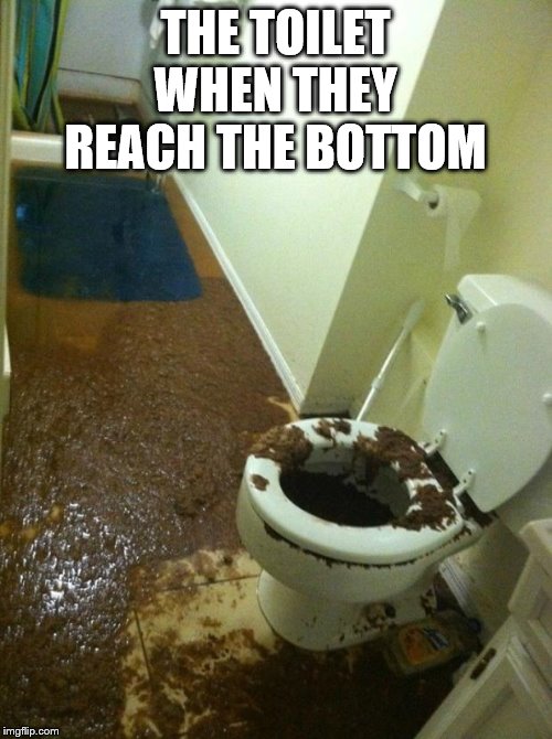 poop | THE TOILET WHEN THEY REACH THE BOTTOM | image tagged in poop | made w/ Imgflip meme maker