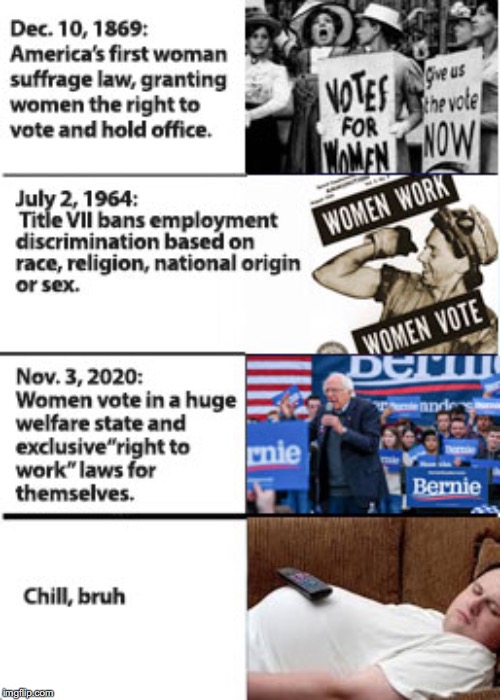 Long Term Strategy | image tagged in woman,feminism,election 2020,voting,women rights | made w/ Imgflip meme maker