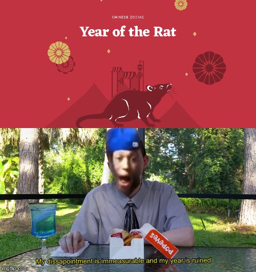 image tagged in rat | made w/ Imgflip meme maker