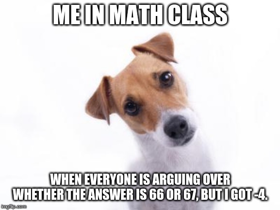 Confused Dog | ME IN MATH CLASS; WHEN EVERYONE IS ARGUING OVER WHETHER THE ANSWER IS 66 OR 67, BUT I GOT -4. | image tagged in confused dog | made w/ Imgflip meme maker