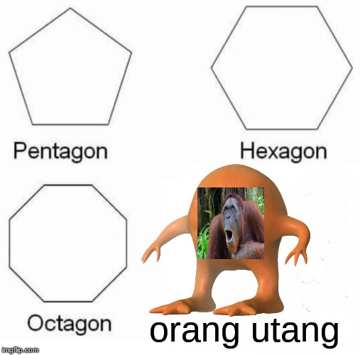 Pentagon Hexagon Octagon Meme | orang utang | image tagged in memes,pentagon hexagon octagon | made w/ Imgflip meme maker