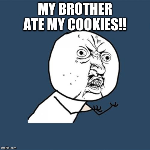 Y U No Meme | MY BROTHER ATE MY COOKIES!! | image tagged in memes,y u no | made w/ Imgflip meme maker
