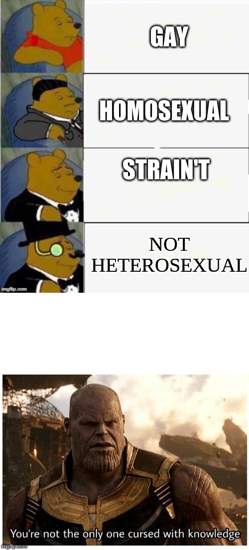 GAY STRAIN'T HOMOSEXUAL NOT HETEROSEXUAL | image tagged in thanos cursed with knowledge,tuxedo winnie the pooh 4 panel | made w/ Imgflip meme maker