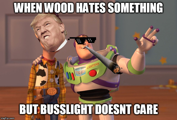 who hates Woody | WHEN WOOD HATES SOMETHING; BUT BUSSLIGHT DOESNT CARE | image tagged in memes | made w/ Imgflip meme maker