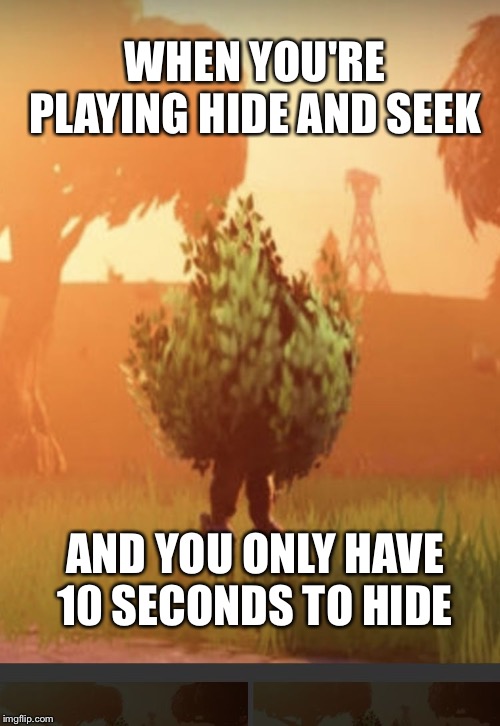Fortnite bush | WHEN YOU'RE PLAYING HIDE AND SEEK; AND YOU ONLY HAVE 10 SECONDS TO HIDE | image tagged in fortnite bush | made w/ Imgflip meme maker