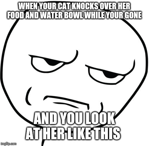 Disappointed Stick Man | WHEN YOUR CAT KNOCKS OVER HER FOOD AND WATER BOWL WHILE YOUR GONE; AND YOU LOOK AT HER LIKE THIS | image tagged in disappointed stick man | made w/ Imgflip meme maker