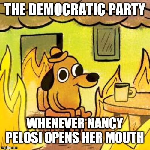 Dog in burning house | THE DEMOCRATIC PARTY; WHENEVER NANCY PELOSI OPENS HER MOUTH | image tagged in dog in burning house | made w/ Imgflip meme maker