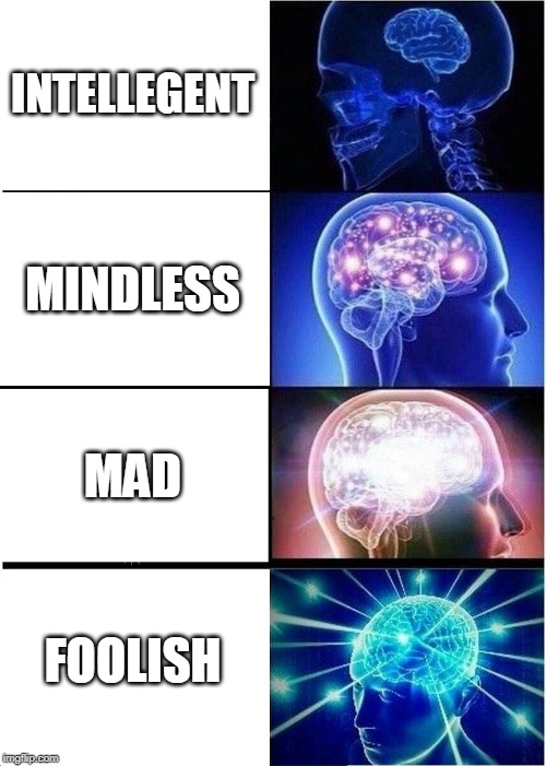 Expanding Brain | INTELLEGENT; MINDLESS; MAD; FOOLISH | image tagged in memes,expanding brain | made w/ Imgflip meme maker