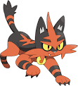 TORRACAT Blank Meme Template