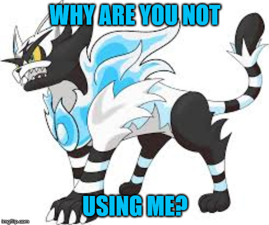 search torracat | WHY ARE YOU NOT; USING ME? | image tagged in torracat ice mode | made w/ Imgflip meme maker