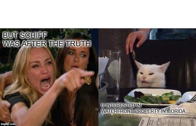 Woman Yelling At Cat | BUT SCHIFF WAS AFTER THE TRUTH; U INTERESTED IN WATERFRONT PROPERTY IN fLORIDA | image tagged in memes,woman yelling at cat | made w/ Imgflip meme maker