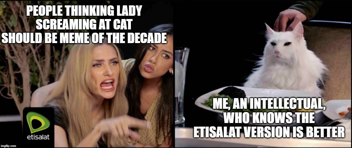 PEOPLE THINKING LADY SCREAMING AT CAT SHOULD BE MEME OF THE DECADE; ME, AN INTELLECTUAL, WHO KNOWS THE ETISALAT VERSION IS BETTER | image tagged in memes,lady screams at cat,funny | made w/ Imgflip meme maker