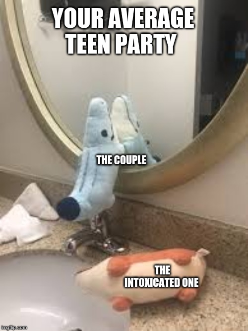 your average teen party | YOUR AVERAGE TEEN PARTY; THE COUPLE; THE INTOXICATED ONE | image tagged in like if you can relate | made w/ Imgflip meme maker