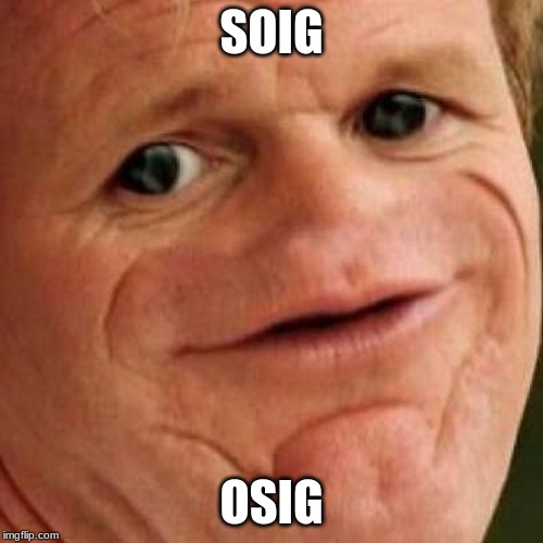 SOSIG | SOIG; OSIG | image tagged in sosig | made w/ Imgflip meme maker