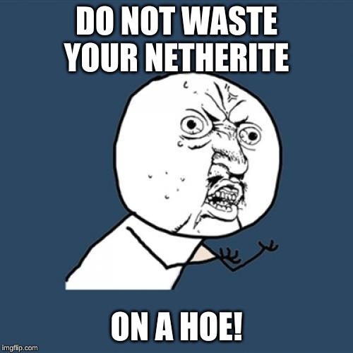 Y U No | DO NOT WASTE YOUR NETHERITE; ON A HOE! | image tagged in memes,y u no | made w/ Imgflip meme maker