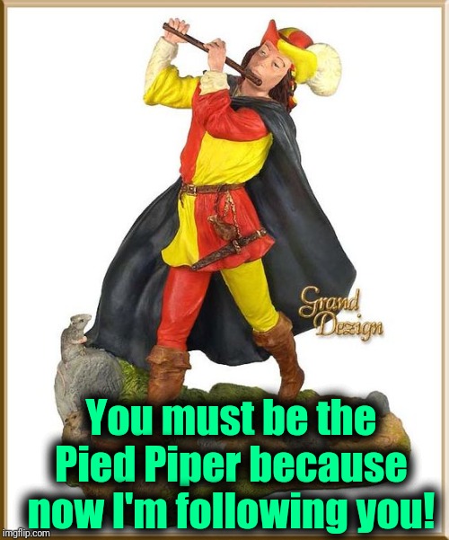 Pied Piper | You must be the Pied Piper because now I'm following you! | image tagged in pied piper | made w/ Imgflip meme maker