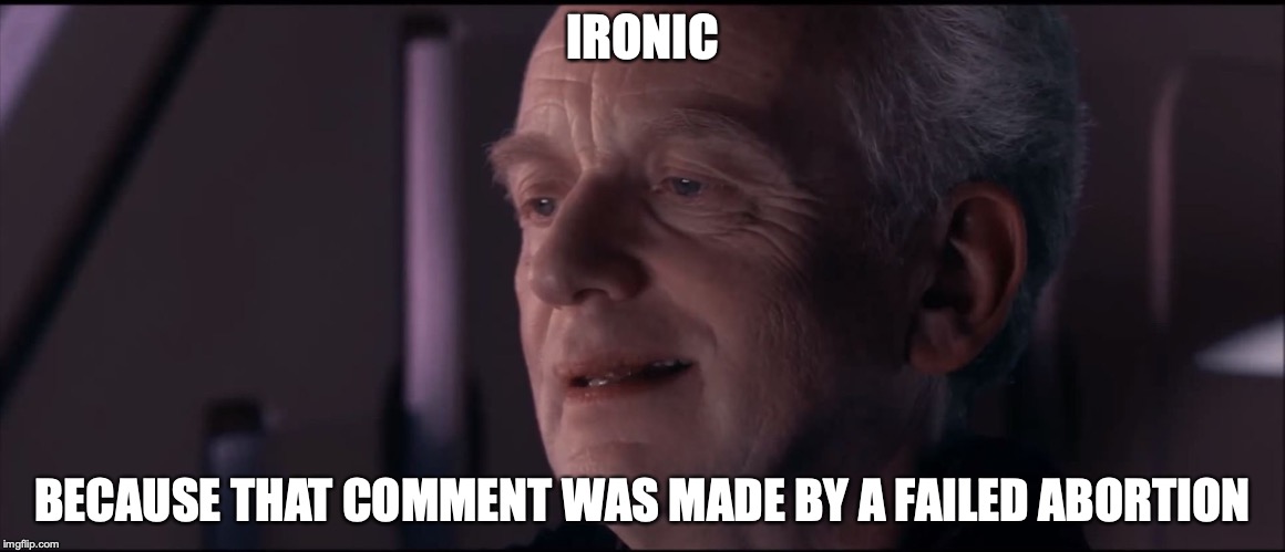 Palpatine Ironic  | IRONIC BECAUSE THAT COMMENT WAS MADE BY A FAILED ABORTION | image tagged in palpatine ironic | made w/ Imgflip meme maker