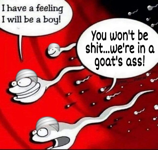 Goat's Ass Soup | image tagged in no more goat shaggers,achmed the dead terrorist,goat love,goat memes,funny,ahab the arab | made w/ Imgflip meme maker