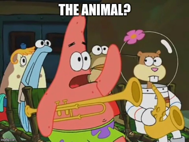Is mayonnaise an instrument? | THE ANIMAL? | image tagged in is mayonnaise an instrument | made w/ Imgflip meme maker