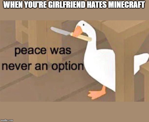Untitled Goose Peace Was Never an Option | WHEN YOU'RE GIRLFRIEND HATES MINECRAFT | image tagged in untitled goose peace was never an option | made w/ Imgflip meme maker