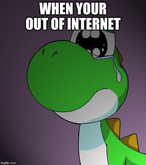 Sad Yoshi | WHEN YOUR OUT OF INTERNET | image tagged in sad yoshi | made w/ Imgflip meme maker