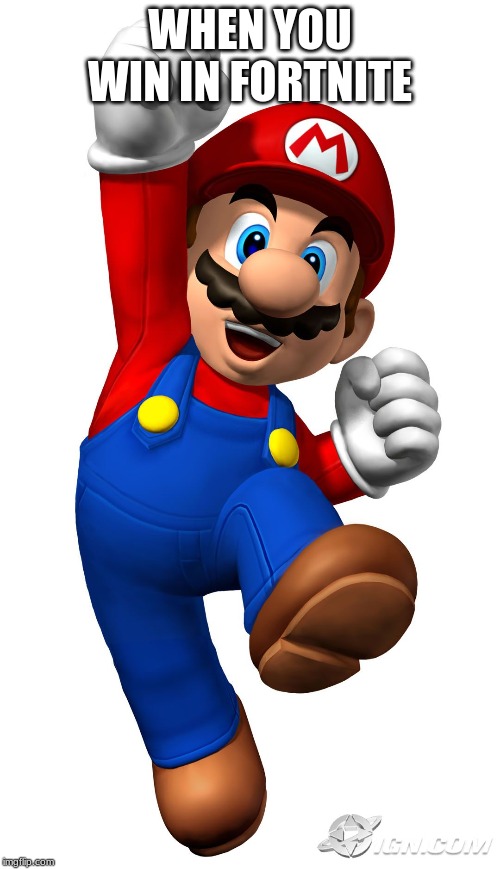 Super Mario | WHEN YOU WIN IN FORTNITE | image tagged in super mario | made w/ Imgflip meme maker