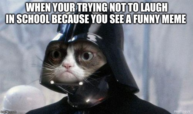 me | WHEN YOUR TRYING NOT TO LAUGH IN SCHOOL BECAUSE YOU SEE A FUNNY MEME | image tagged in memes,grumpy cat star wars,grumpy cat,so true memes | made w/ Imgflip meme maker