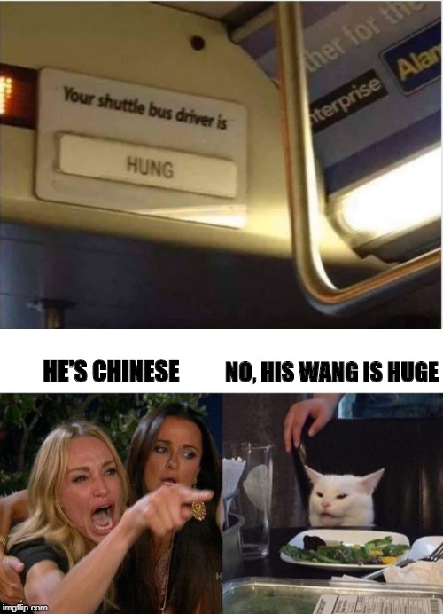 See What I Did There | NO, HIS WANG IS HUGE; HE'S CHINESE | image tagged in memes,woman yelling at cat | made w/ Imgflip meme maker