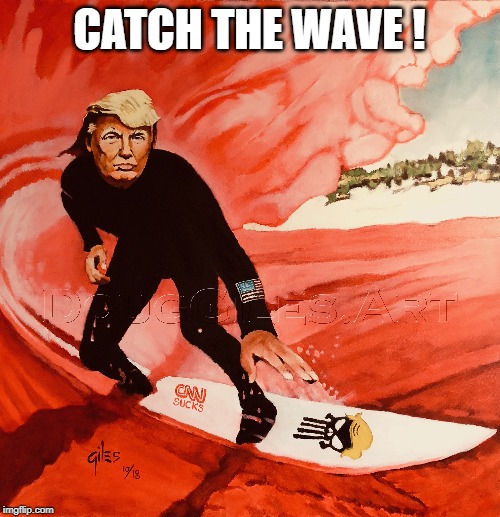 CATCH THE WAVE ! | made w/ Imgflip meme maker