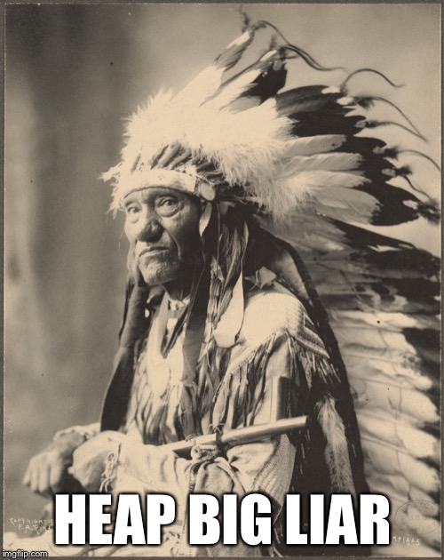 Native Cheif | HEAP BIG LIAR | image tagged in native cheif | made w/ Imgflip meme maker