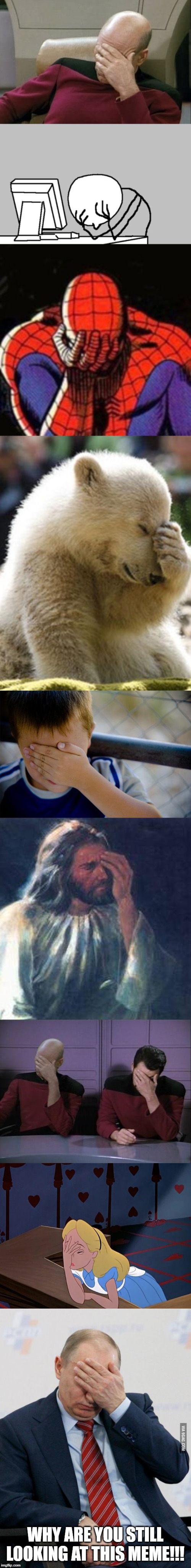 WHY ARE YOU STILL LOOKING AT THIS MEME!!! | image tagged in memes,sad spiderman,computer guy facepalm,captain picard facepalm,facepalm bear,confession kid | made w/ Imgflip meme maker