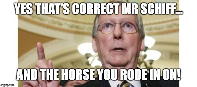 Mitch McConnell |  YES THAT'S CORRECT MR SCHIFF... AND THE HORSE YOU RODE IN ON! | image tagged in memes,mitch mcconnell | made w/ Imgflip meme maker