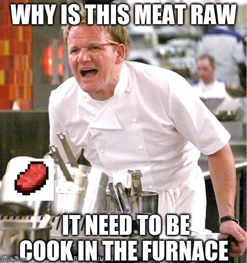 When your friend tell you to cook the raw beef from the furnace but you did not. | WHY IS THIS MEAT RAW; IT NEED TO BE COOK IN THE FURNACE | image tagged in memes,chef gordon ramsay | made w/ Imgflip meme maker