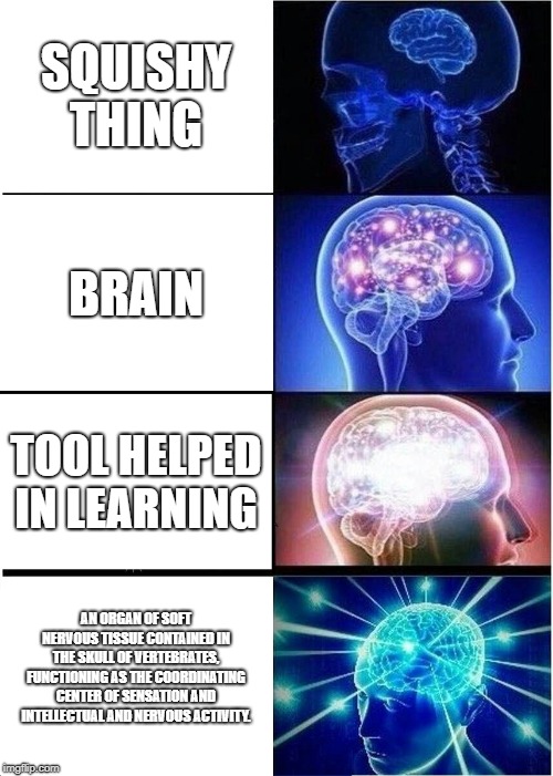 Expanding Brain Meme | SQUISHY THING; BRAIN; TOOL HELPED IN LEARNING; AN ORGAN OF SOFT NERVOUS TISSUE CONTAINED IN THE SKULL OF VERTEBRATES, FUNCTIONING AS THE COORDINATING CENTER OF SENSATION AND INTELLECTUAL AND NERVOUS ACTIVITY. | image tagged in memes,expanding brain | made w/ Imgflip meme maker
