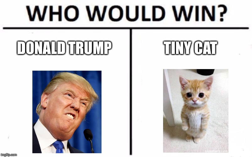 Who Would Win? Meme | DONALD TRUMP; TINY CAT | image tagged in memes,who would win | made w/ Imgflip meme maker