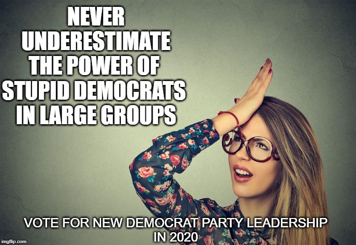 Never Underestimate Dumb Democrats | NEVER
UNDERESTIMATE
THE POWER OF 
STUPID DEMOCRATS 
IN LARGE GROUPS; VOTE FOR NEW DEMOCRAT PARTY LEADERSHIP
IN 2020 | image tagged in democrats,democratic party,stupid,vote 2020,hit the road pelosi schumer schiff | made w/ Imgflip meme maker