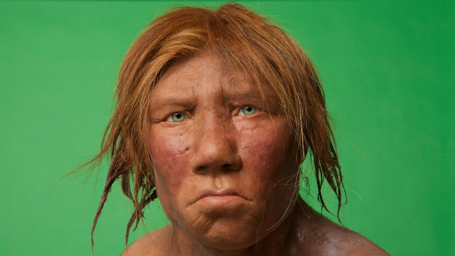 Neanderthal Trump Blank Meme Template
