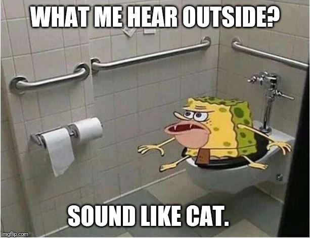 Spongebob Caveman Bathroom | WHAT ME HEAR OUTSIDE? SOUND LIKE CAT. | image tagged in spongebob caveman bathroom | made w/ Imgflip meme maker
