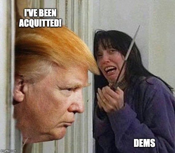 I'VE BEEN ACQUITTED! DEMS | image tagged in trump shining,trump,impeachment | made w/ Imgflip meme maker