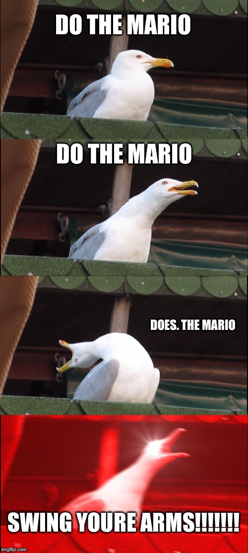Inhaling Seagull | DO THE MARIO; DO THE MARIO; DOES. THE MARIO; SWING YOURE ARMS!!!!!!! | image tagged in memes,inhaling seagull | made w/ Imgflip meme maker