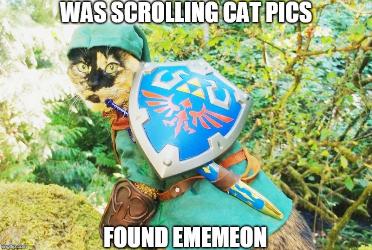 IT'S REALLY HER! | WAS SCROLLING CAT PICS; FOUND EMEMEON | image tagged in cats,the legend of zelda,ememeon | made w/ Imgflip meme maker