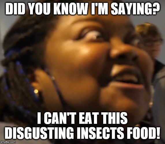 Woman with her eyes popped out | DID YOU KNOW I'M SAYING? I CAN'T EAT THIS DISGUSTING INSECTS FOOD! | image tagged in woman with her eyes popped out,disgusting,insects,food,youtube,memes | made w/ Imgflip meme maker