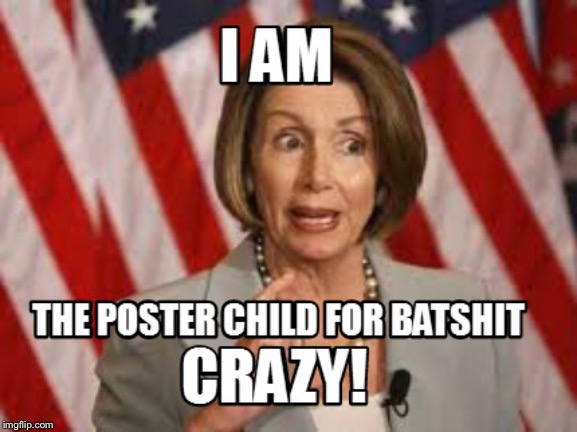 image tagged in nancy pelosi crazy nut | made w/ Imgflip meme maker