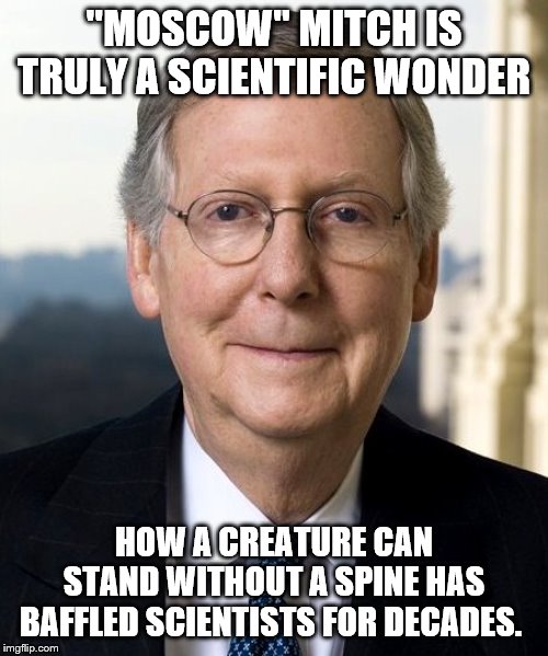 Mitch McConnel | "MOSCOW" MITCH IS TRULY A SCIENTIFIC WONDER; HOW A CREATURE CAN STAND WITHOUT A SPINE HAS BAFFLED SCIENTISTS FOR DECADES. | image tagged in mitch mcconnel | made w/ Imgflip meme maker