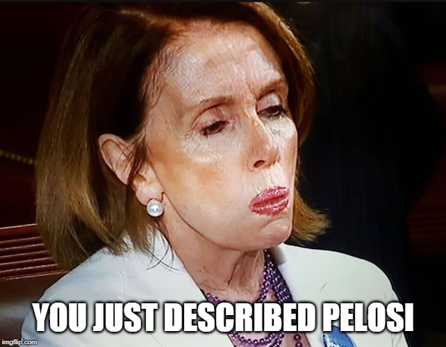 Nancy Pelosi PB Sandwich | YOU JUST DESCRIBED PELOSI | image tagged in nancy pelosi pb sandwich | made w/ Imgflip meme maker