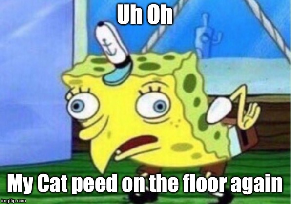 Mocking Spongebob | Uh Oh; My Cat peed on the floor again | image tagged in memes,mocking spongebob | made w/ Imgflip meme maker