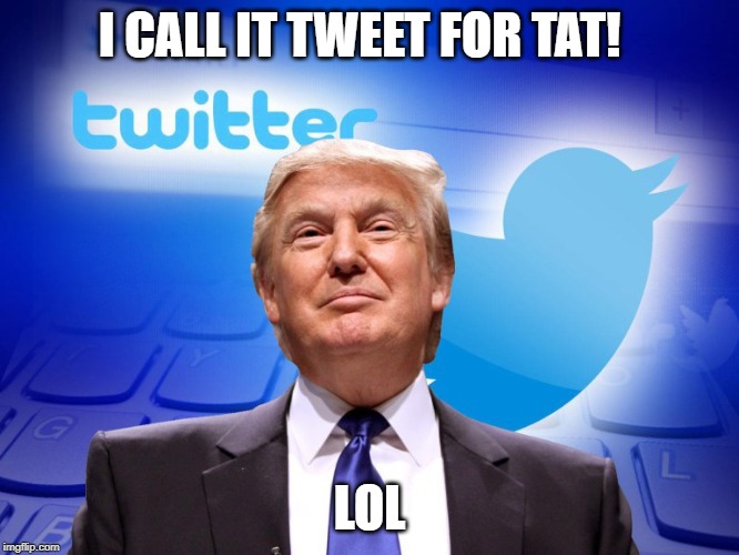 Trump twitter | I CALL IT TWEET FOR TAT! LOL | image tagged in trump twitter | made w/ Imgflip meme maker