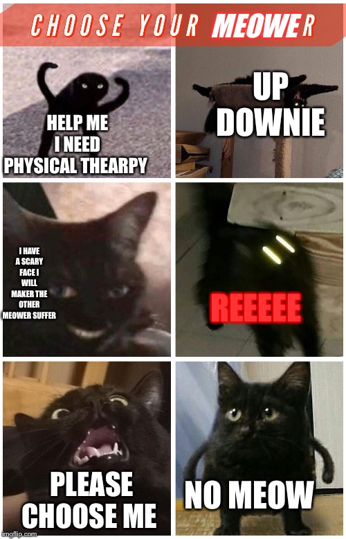 Chose your MEOWER! | MEOWE; UP DOWNIE; HELP ME I NEED PHYSICAL THEARPY; I HAVE A SCARY FACE I WILL MAKER THE OTHER MEOWER SUFFER; REEEEE; PLEASE CHOOSE ME; NO MEOW | image tagged in choose your fighter | made w/ Imgflip meme maker